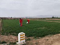 �����¹ʲ�����