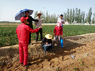 ʯ����Ȼ��ܵ����o����Ӱ�ʯ����Ȼ��ܵ���ȫ���ض�ʩ�����I(y��)�����Ҏ������