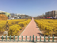 750KV�߉���(xi��n)���ܵ�Σ�����������o̽��