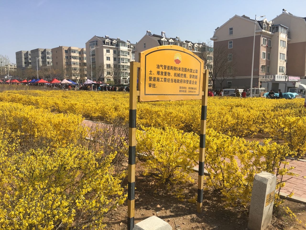 �\Փ�����͚�ܵ�Ҏ�����傀(g��)Ҫ��