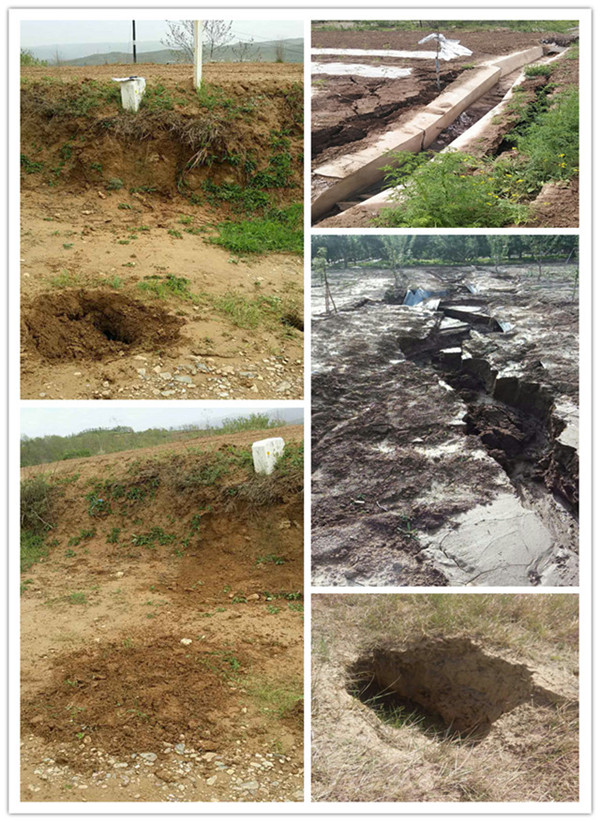 �����ܵ����ε؞��L(f��ng)�U�O�y�A��