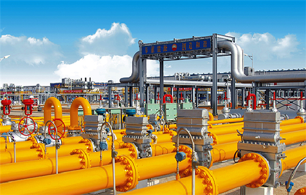 �҇������ܵ���ȫ�O���wϵ�F����h