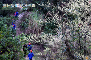 ���������ȼ��ܵ��ߺ���^�ܿ��y�c(di��n)������